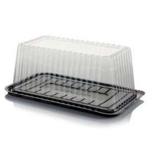 Nunc congue dui nec...