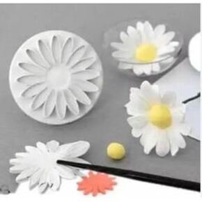 Nunc congue dui nec...