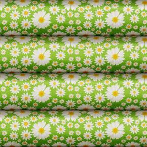 Nunc congue dui nec...