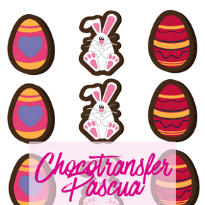 Nunc congue dui nec...