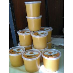 Nunc congue dui nec...