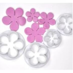 Nunc congue dui nec...