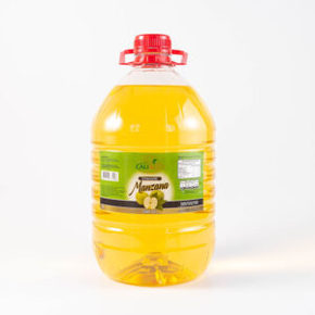 Nunc congue dui nec...