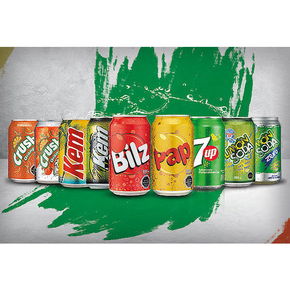 Nunc congue dui nec...