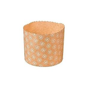 Nunc congue dui nec...