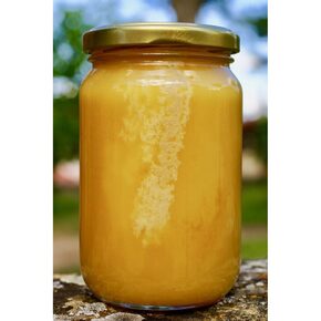 Nunc congue dui nec...