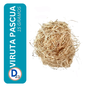 Nunc congue dui nec...